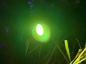 Cover Inlite led