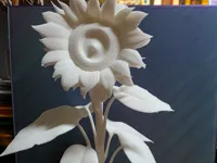 0.16mm layer, 3 walls, 15% infill
