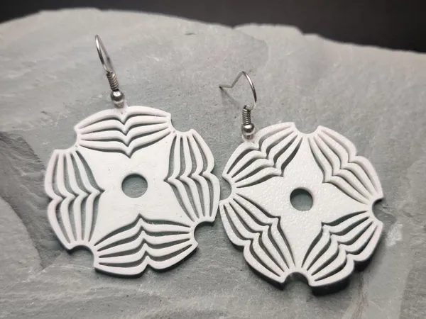 https://makerworld.bblmw.com/makerworld/model/USa4feff8056874c/design/2025-07-12_511dd814915db.jpg