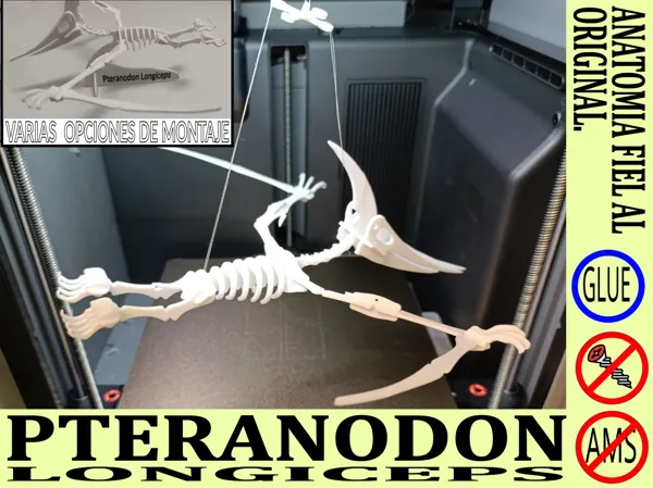 https://makerworld.bblmw.com/makerworld/model/USa5045347b8b1cb/design/79ce2ea8b9f4d822.jpg