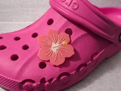 Hibiscus Croc Charm