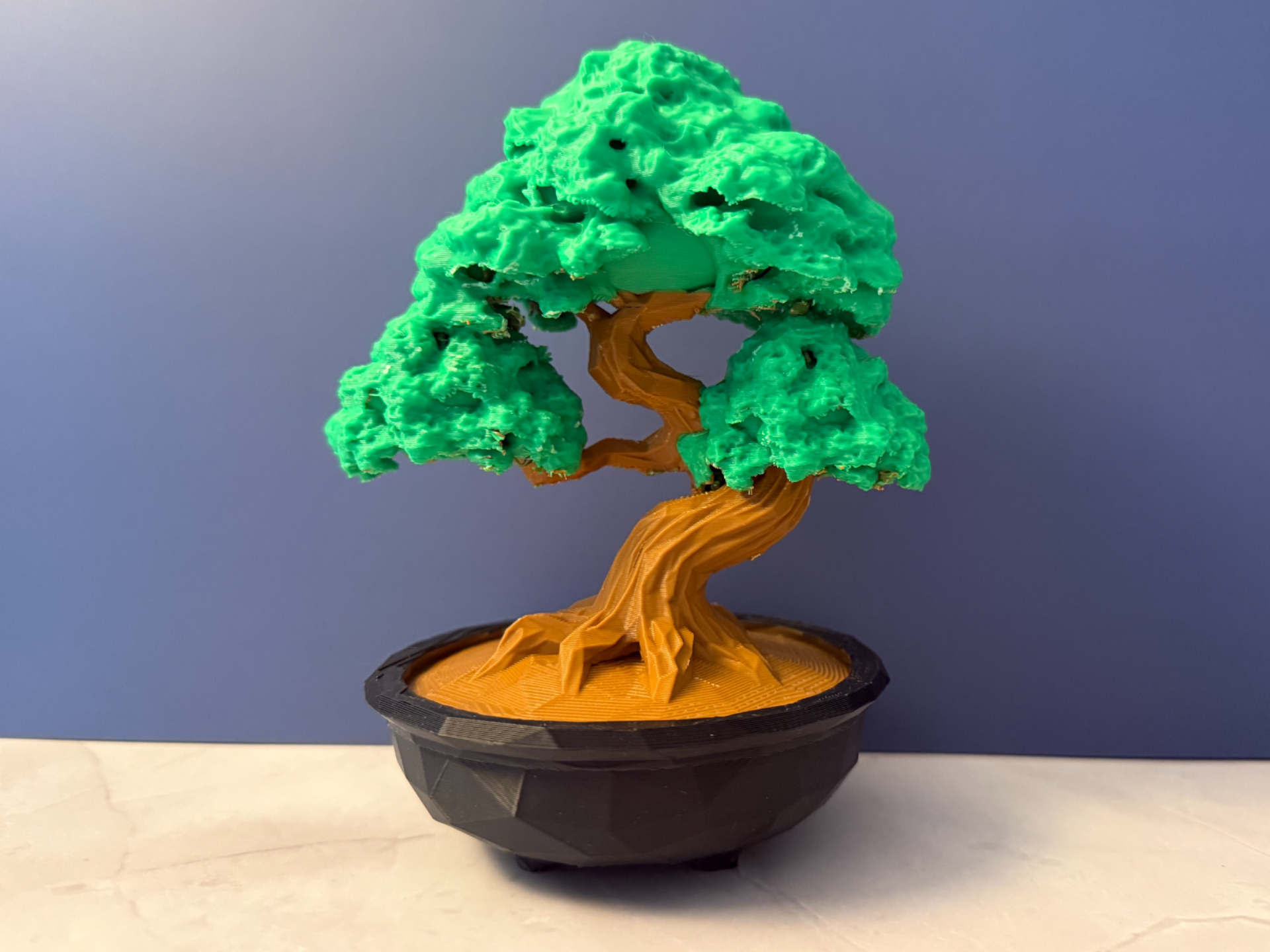 Detailed Bonsai Tree