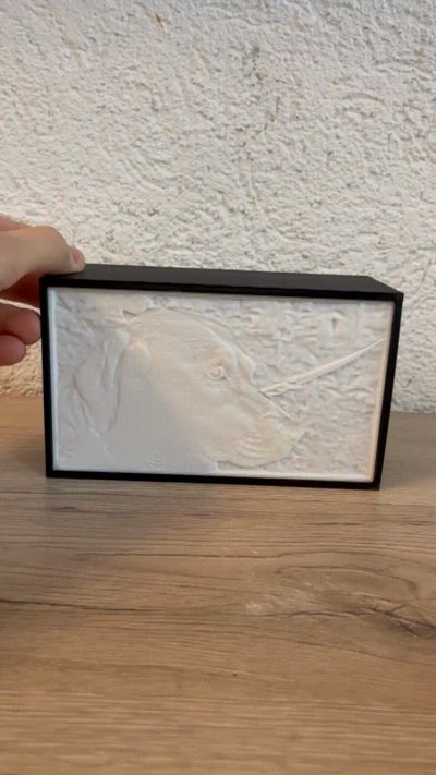 Lithophane Light Box Akku