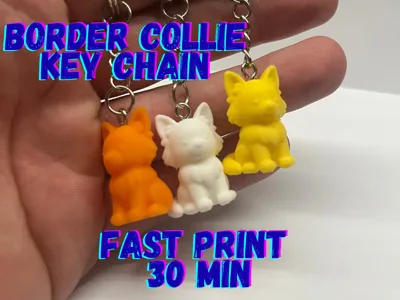 Border Collie Key Chain