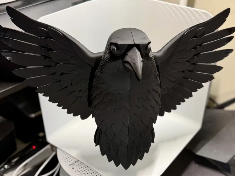 Corvo 40cm 