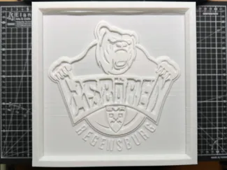 Eishockey Lithophane Boxen 