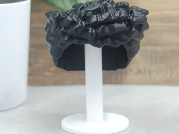 https://makerworld.bblmw.com/makerworld/model/USa510660fb36bfa/design/c4d78d66b64a446d.jpg