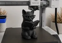 0.2mm layer, 3 walls, 25% infill
