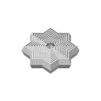 Étoile fidget — photo 6