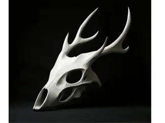 Bone mask