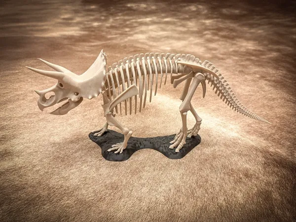 https://makerworld.bblmw.com/makerworld/model/USa518db06fb11d6/design/2025-01-21_13f526bbcb837.webp