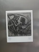 Polaroid Magnet for fiber lasering