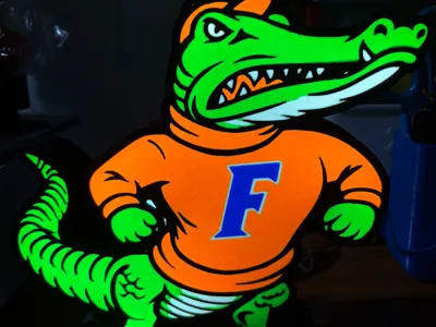 Florida Gators Lightbox