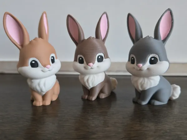 https://makerworld.bblmw.com/makerworld/model/USa52839cb5c18ee/design/c5467371269ce153.jpg
