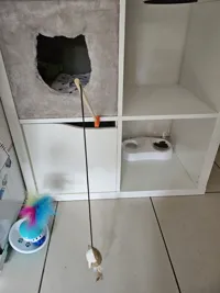 Porte-jouets à crochet pour chat, meuble Kallax — photo 2