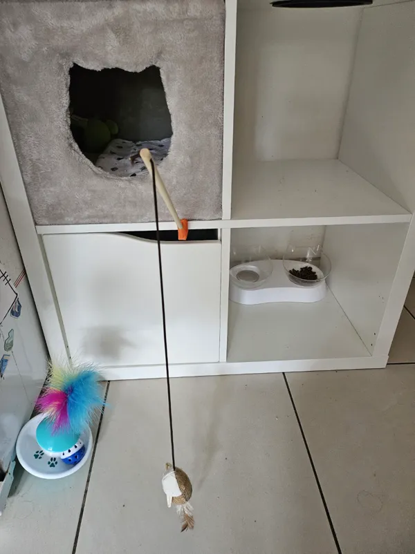 https://makerworld.bblmw.com/makerworld/model/USa52873ab2605ad/design/2024-03-15_15dc346cc99ea.jpg