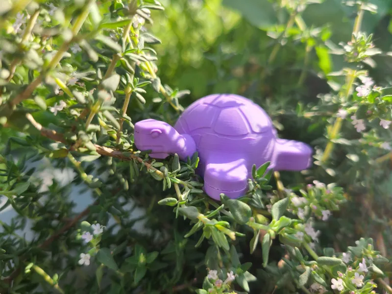 Air Layering Turtle Pods
