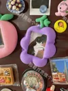 Kyoho Grape Photo Frame Mini Fridge Magnet