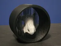 [Dual Colors ] 0.2mm layer, 2 walls, 12% infill