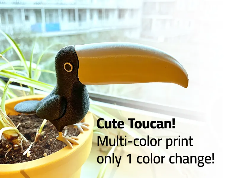 Cute toucan