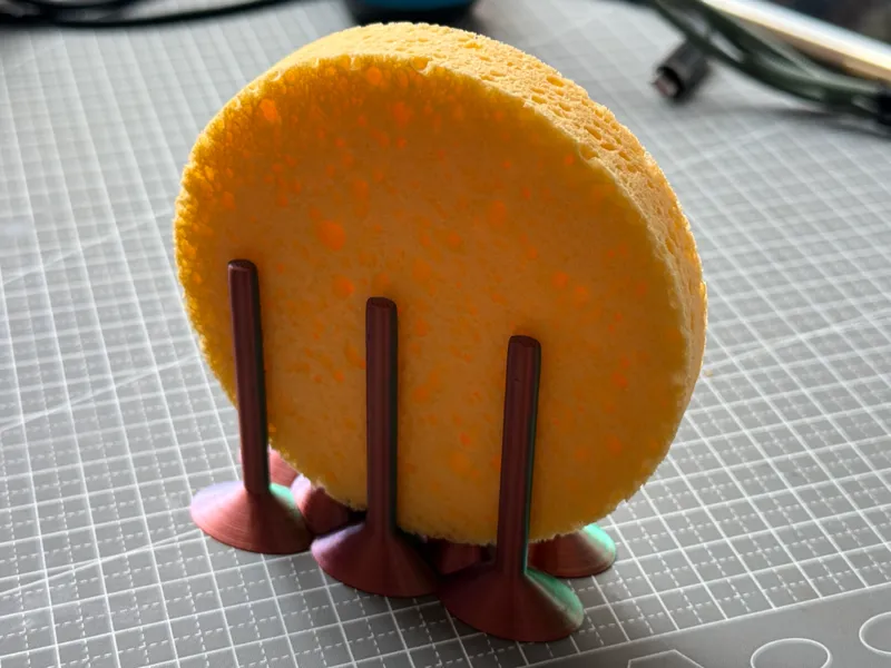 Facial Sponge stand