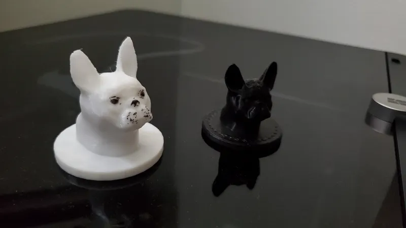 French Bulldog head