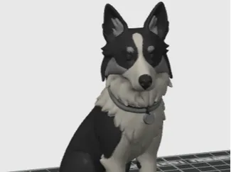 Border Collie