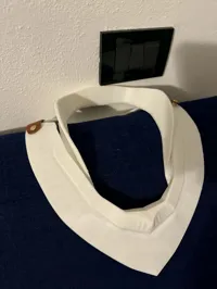 Gorget