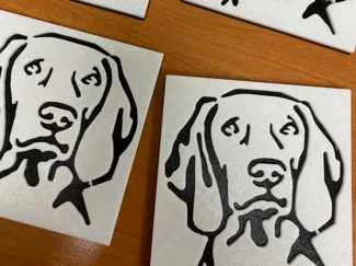 Weimaraner coaster