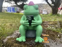 AMS Painted Garden Frog
