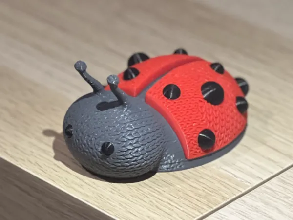 https://makerworld.bblmw.com/makerworld/model/USa55098a581437f/design/2025-01-19_4f9c1ee5d62.jpg