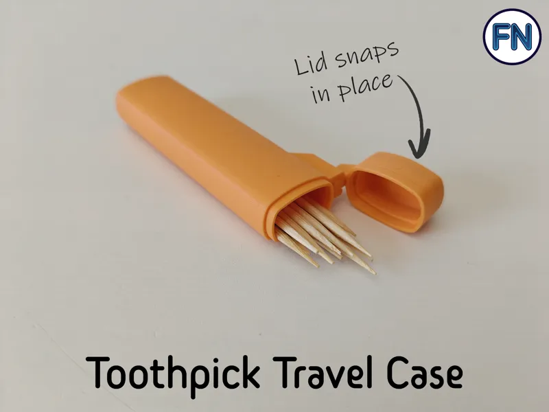 Toothpick/universal travel case
