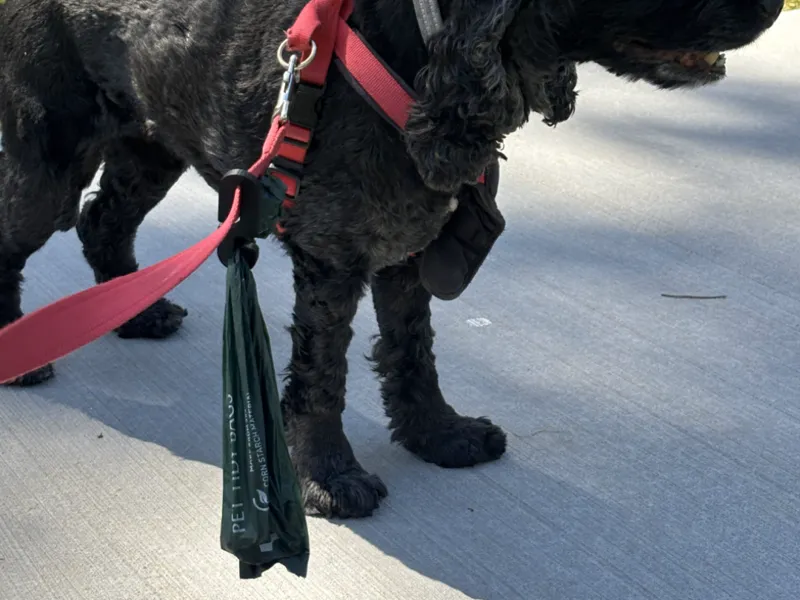 Dog poop bag holder for leash