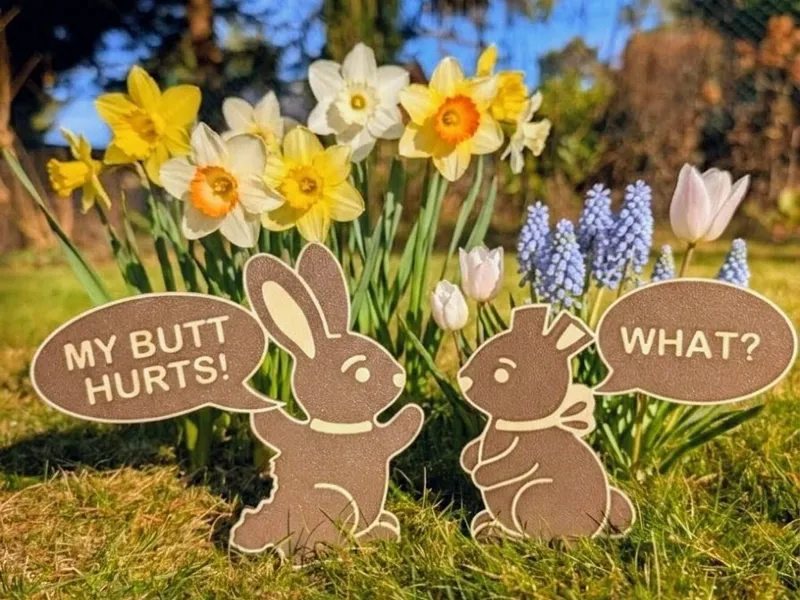 Small Bunnies - Big Problems