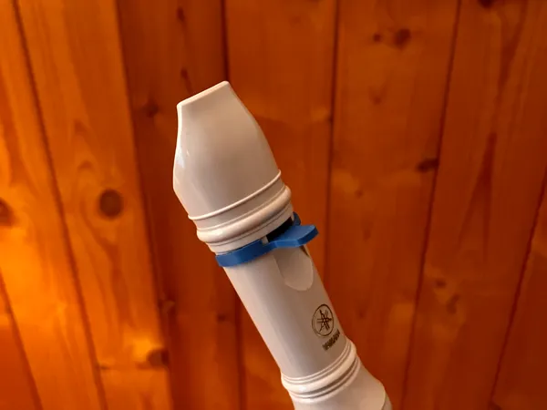 https://makerworld.bblmw.com/makerworld/model/USa55c9e1e9dd1fe/design/2025-10-18_20cc776a0e7758.jpg