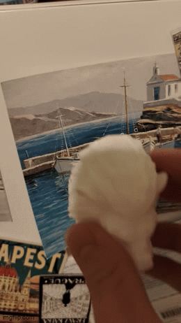 Nemeans Lion (Low poly fridge magnet)