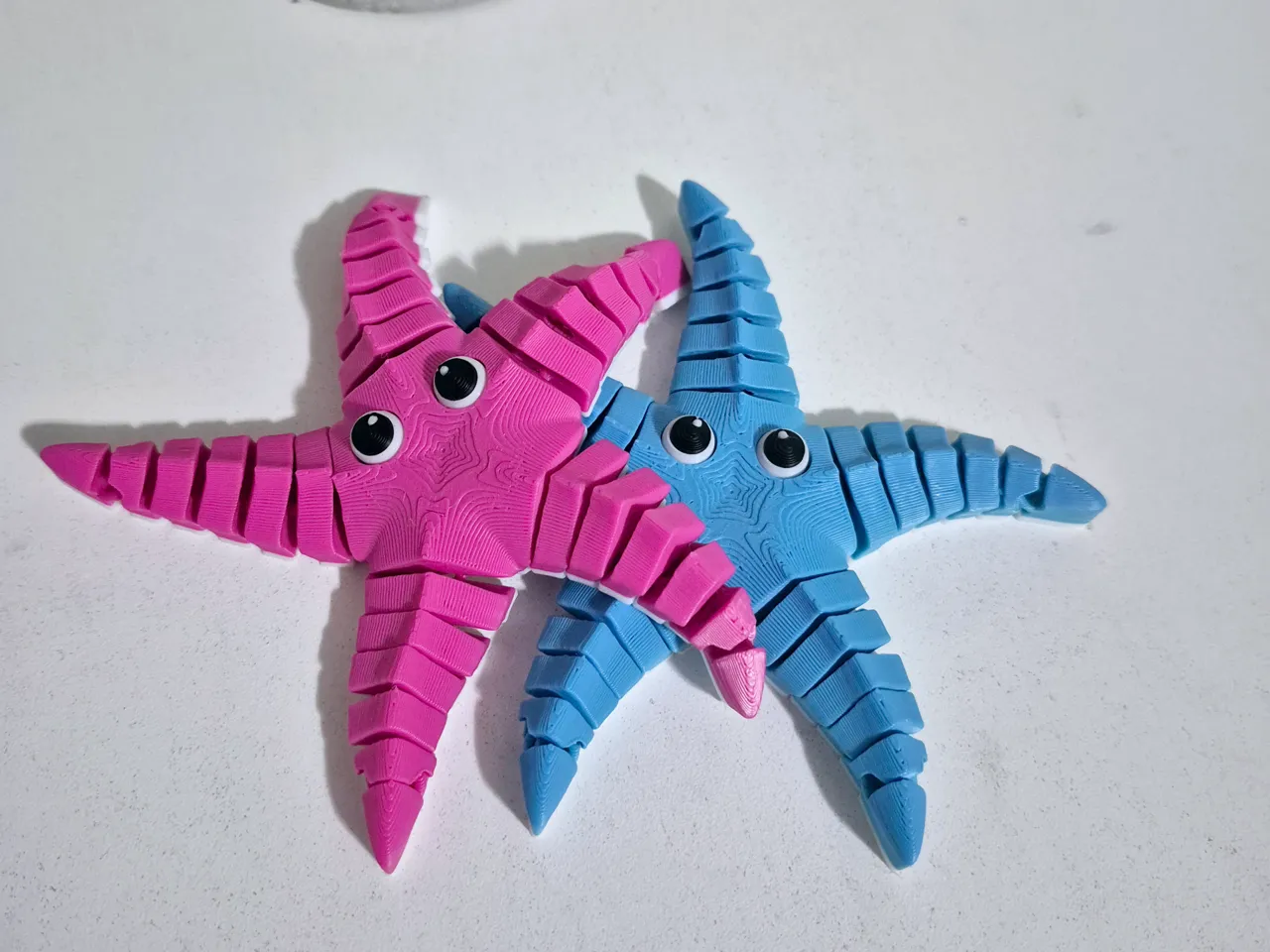 Starfish articulated view 2