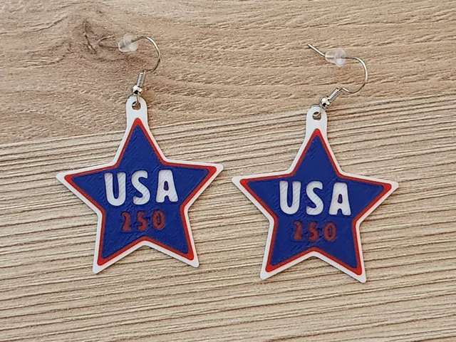 USA 250 earrings