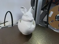 Œuf de lapin éclosant — photo 1