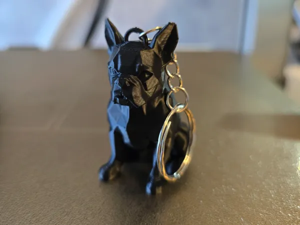 https://makerworld.bblmw.com/makerworld/model/USa57598b54e9350/design/2025-05-20_4eeb289312f4c.jpg