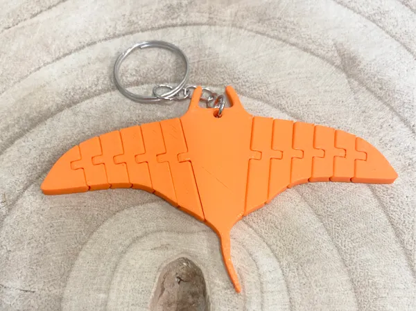 https://makerworld.bblmw.com/makerworld/model/USa575e3fd679f8f/design/2024-06-15_32286b9aee7e8.webp
