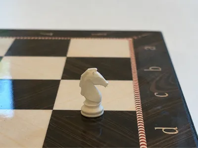 World's Smallest Chess Piece