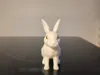 0.16mm layer, 2 walls, 5% infill