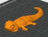 Bearded Dragons (OneColor)