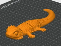 Bearded Dragons (OneColor)