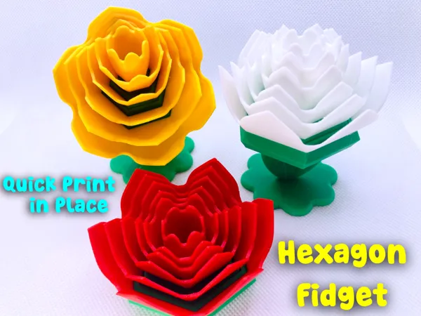 https://makerworld.bblmw.com/makerworld/model/USa580188ebfb1f3/design/2026-01-16_ae543809165a38.jpg