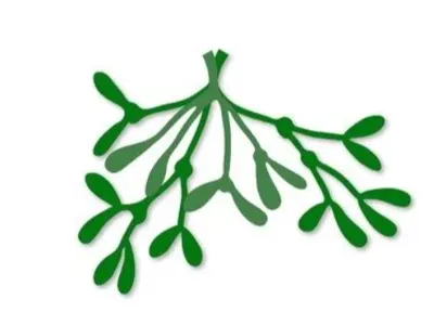 misteltoe branch for clay
