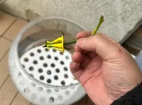 0.2mm 层高, 2 层墙, 15% 填充