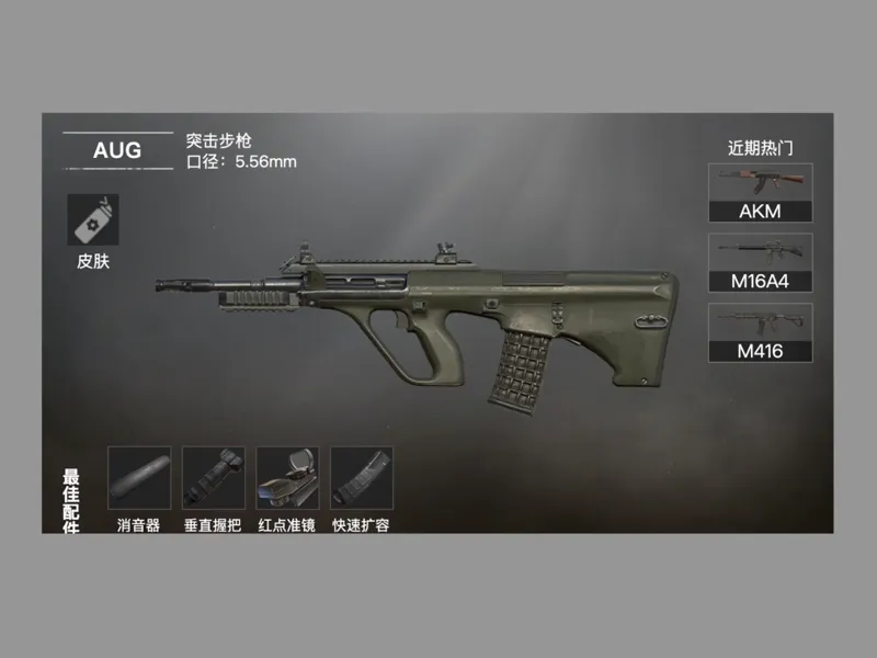 【和平精英・官方同款 AUG 双色】游戏武器模型