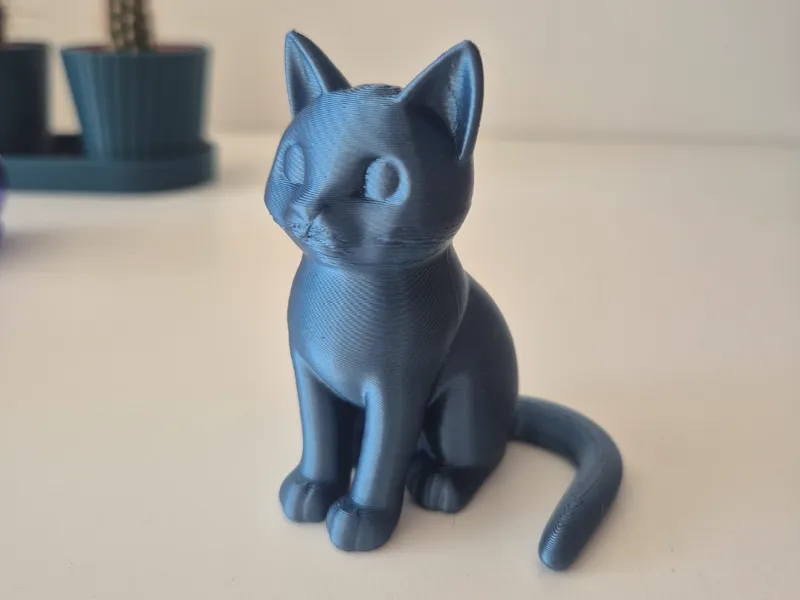 Cute Cat